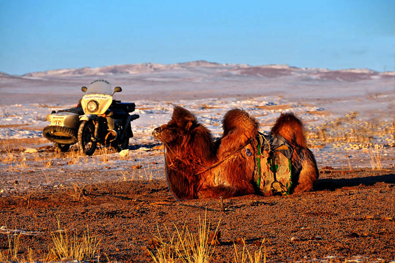 Mongolia